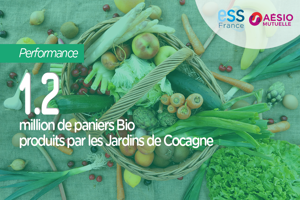 1,2 million de paniers Bio produits par les Jardins de Cocagne