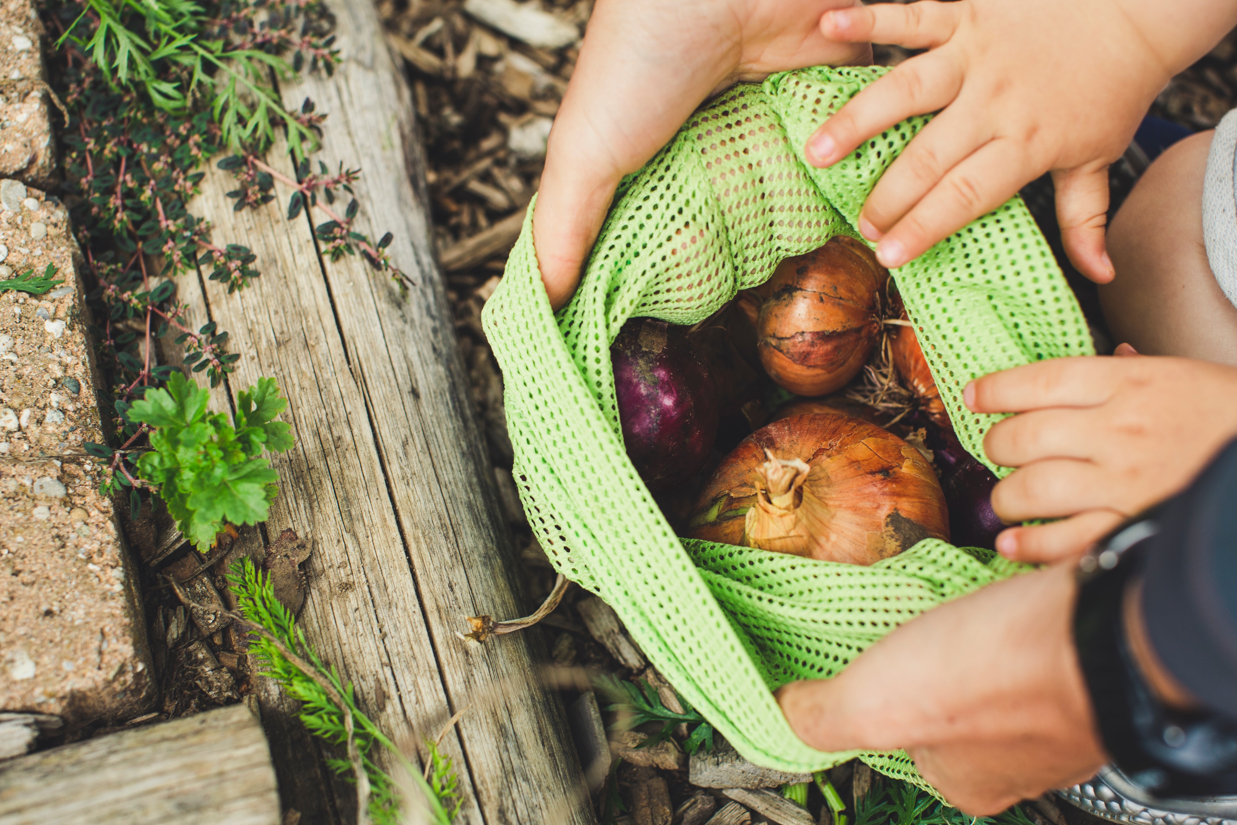 Engager une transition écologique qui soit sociale et solidaire