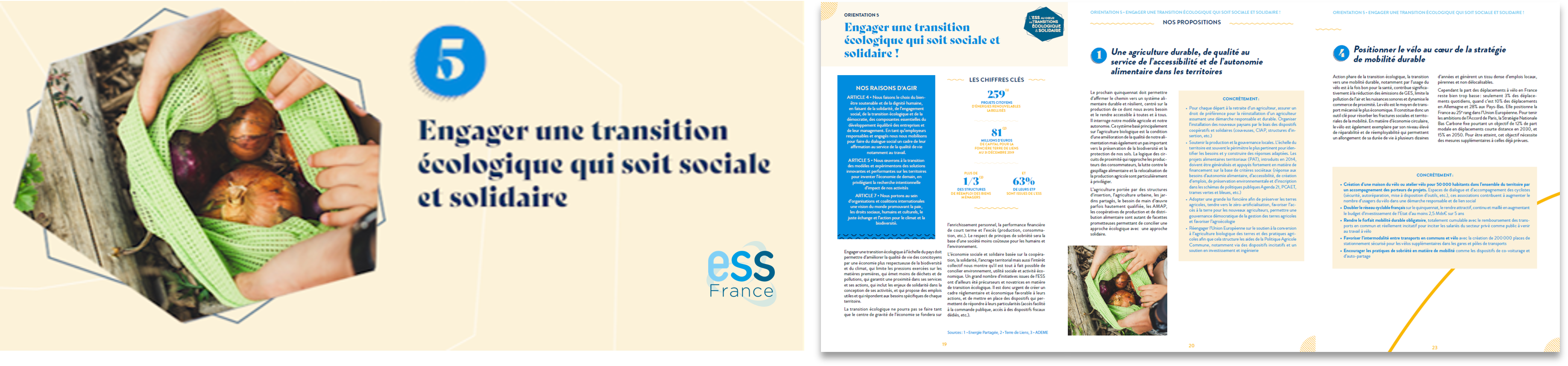 Orientation n°5 : Engager une transition écologique qui soit sociale et solidaire !