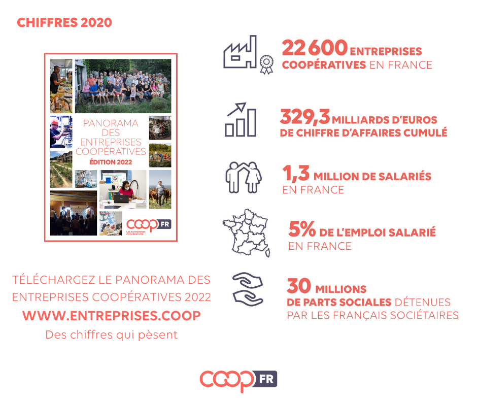 Infographie Panorama des coopératives 2022