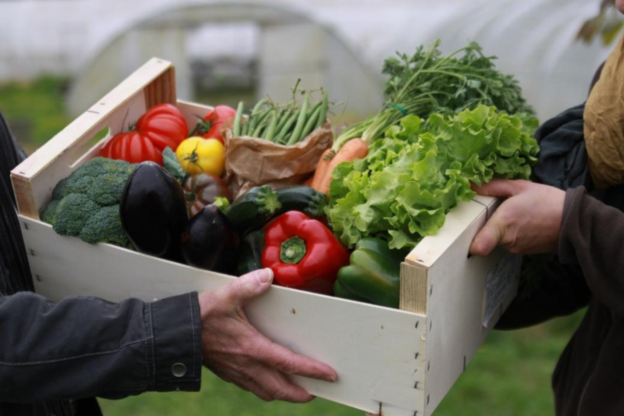 AMI Banque des Territoires alimentation