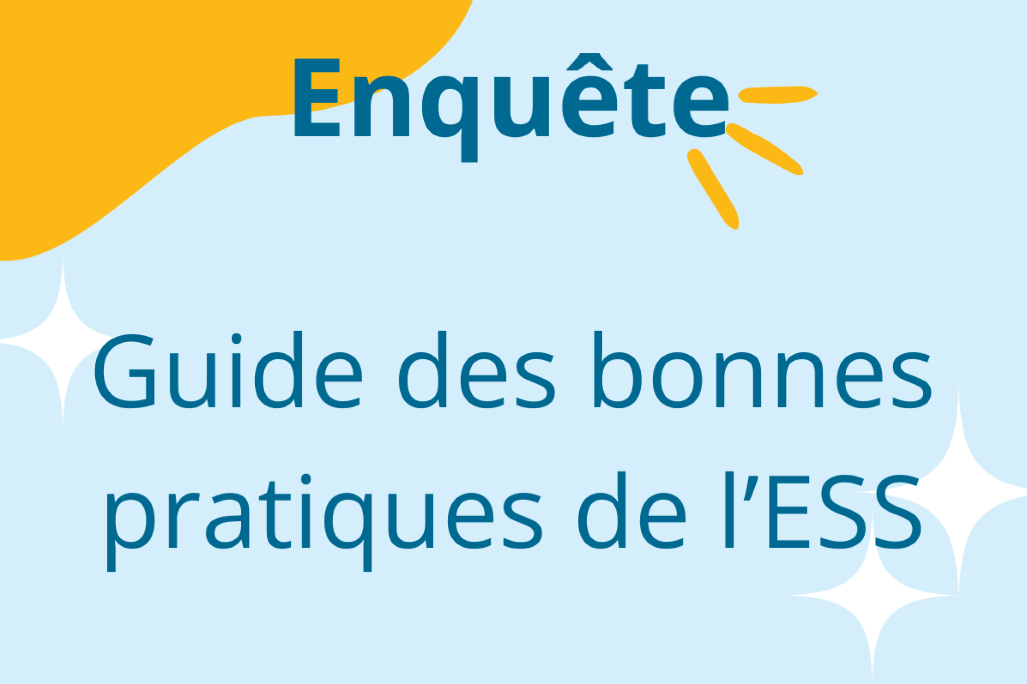 Enquête - guide des bonnes pratiques de l'ESS