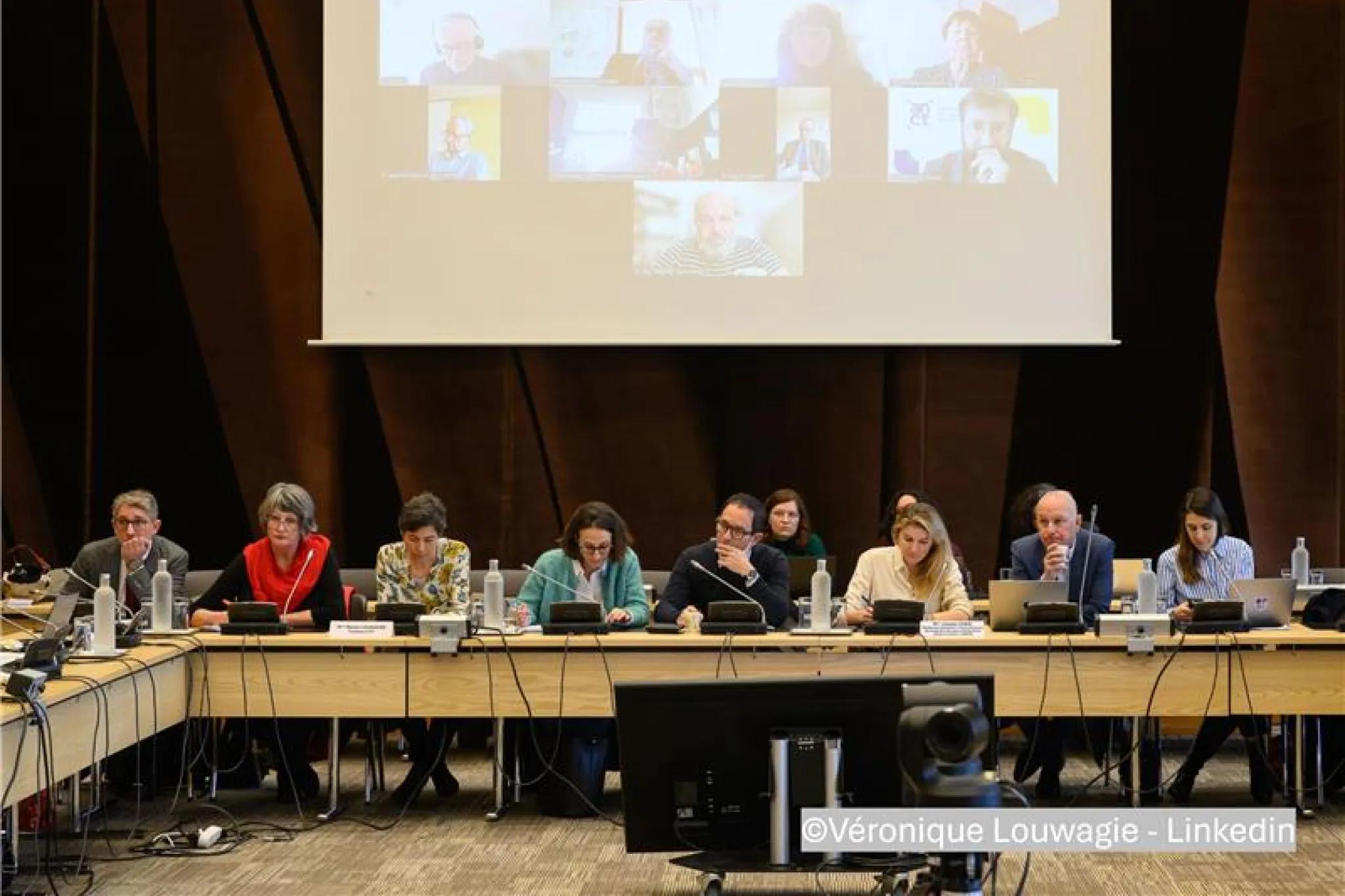 Retour sur la séance plénière du Conseil Supérieur de l'ESS du lundi 3 mars 2025