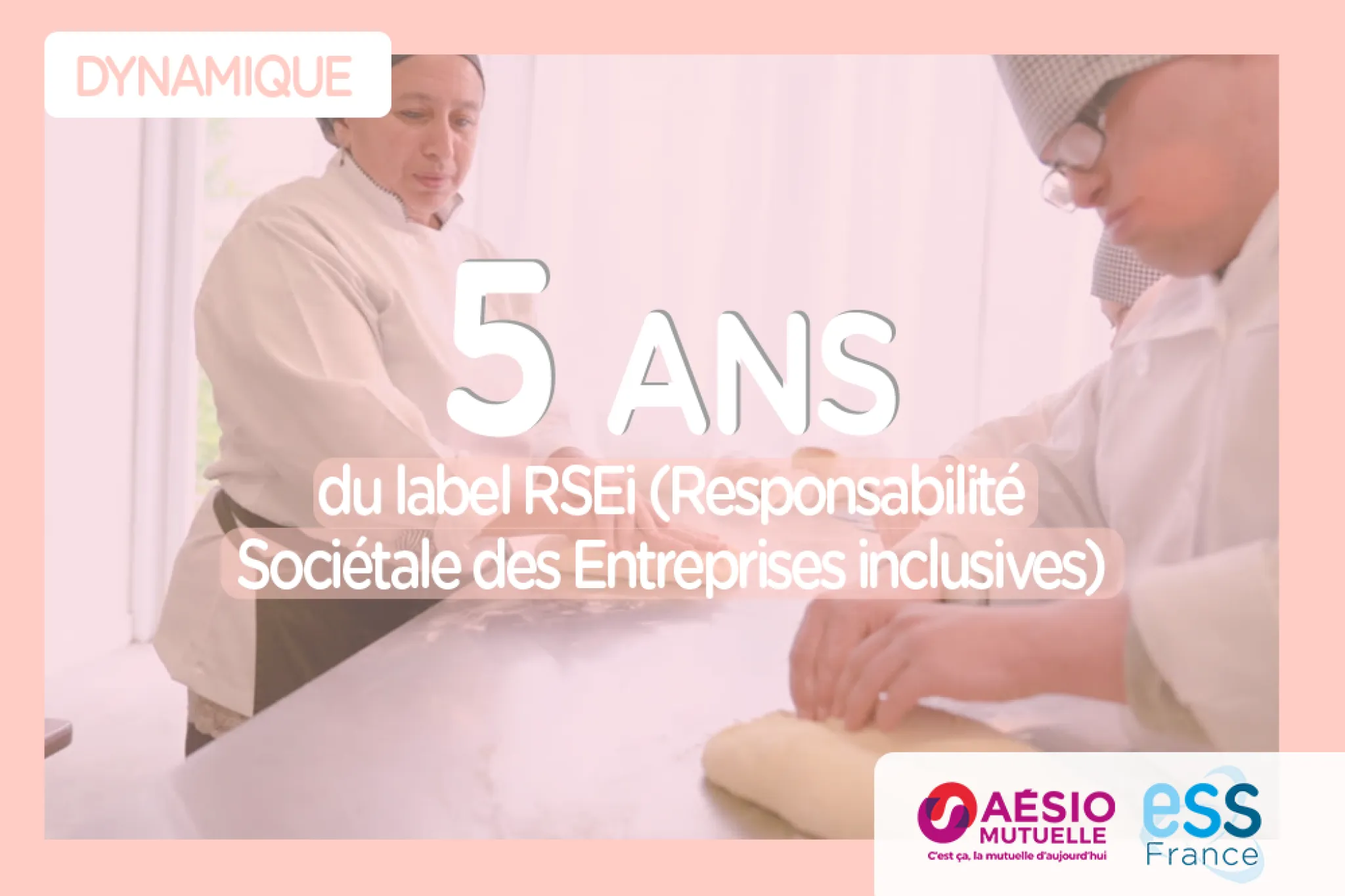  5 ans du label RSEi (Responsabilité Sociétale des Entreprises inclusives)