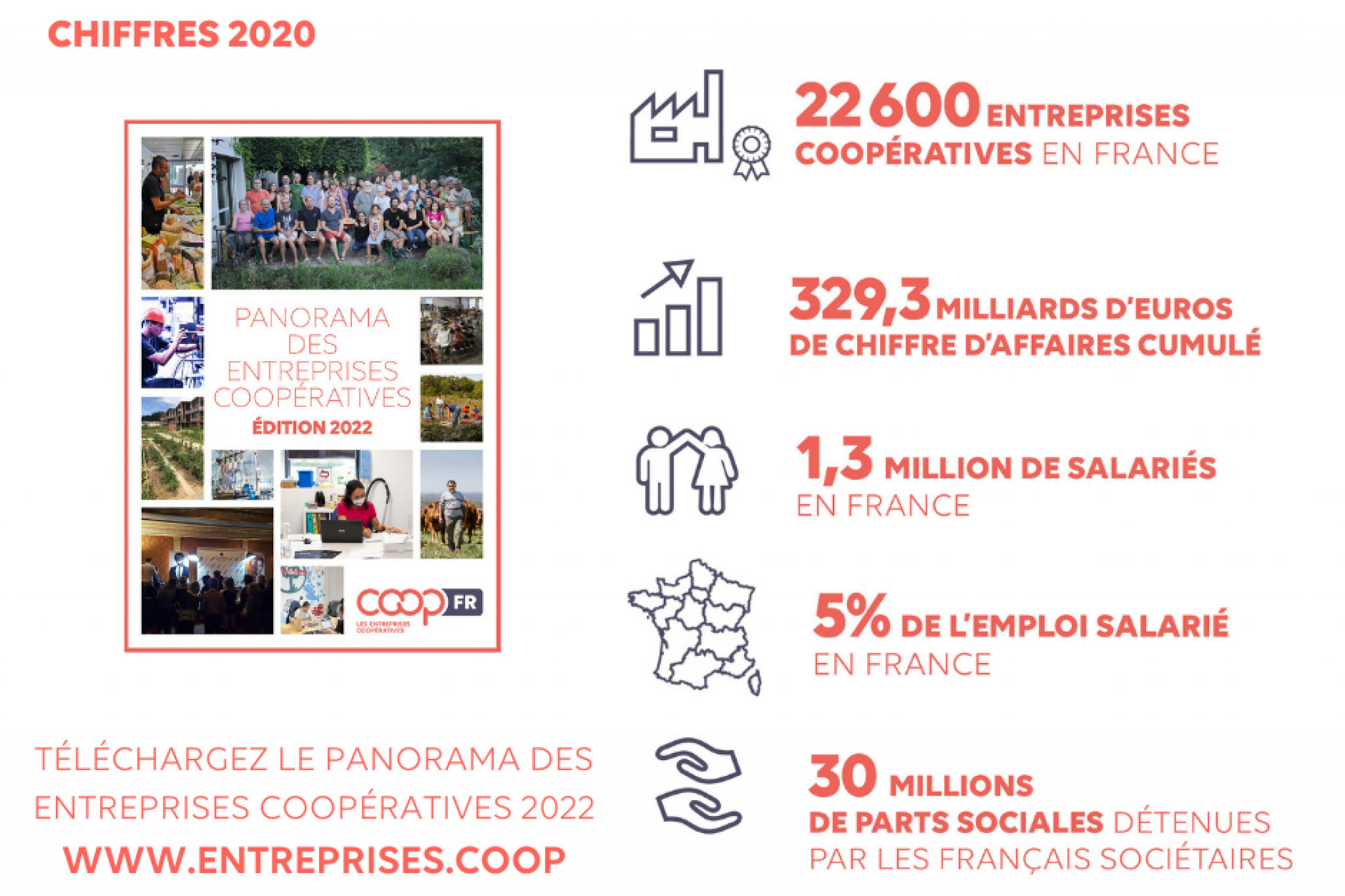 infographie Panorama des coopératives 2022